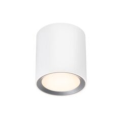 Nordlux потолочный светильник для ванны Landon IP44 2110670101 цена и информация | Потолочный светильник | 220.lv
