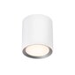 Nordlux vannas griestu lampa Landon 2110670101 цена и информация | Griestu lampas | 220.lv