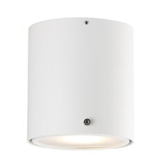 Nordlux потолочный светильник IP 6W, 78511001 цена и информация | Потолочные светильники | 220.lv