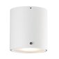 Nordlux griestu lampa IP 78511001 cena un informācija | Griestu lampas | 220.lv