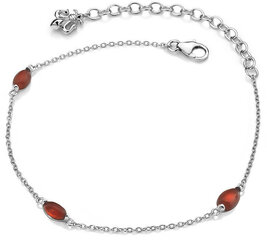 Hot Diamonds Серебряный браслет для родившихся в июле Anais Carnelian AB007 цена и информация | Женские браслеты | 220.lv