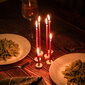 Baznīcas vaska sveces dzeltenā krāsā BlueBee Candles 100 gab + 4 statīvi svecēm цена и информация | Sveces un svečturi | 220.lv