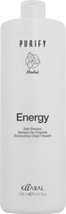 Tonizējošs šampūns ar mentolu Purify Energy, 1000 ml cena un informācija | Šampūni | 220.lv