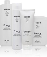 Tonizējošs šampūns ar mentolu Purify Energy, 1000 ml cena un informācija | Šampūni | 220.lv