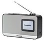 Panasonic RF-D15EG-K cena un informācija | Radioaparāti, modinātājpulksteņi | 220.lv