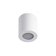 Lampa Kanlux SANI DSO-W 10 W цена и информация | Потолочный светильник | 220.lv