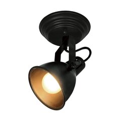 Easylink griestu gaisma R50111102 cena un informācija | Griestu lampas | 220.lv