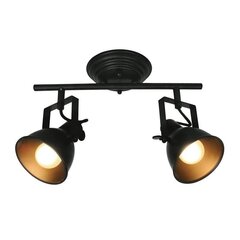 Easylink griestu gaisma R50111102-2TU cena un informācija | Griestu lampas | 220.lv
