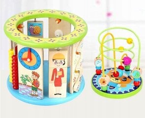 Montessori kubs RoyaliTo PL цена и информация | Развивающие игрушки | 220.lv