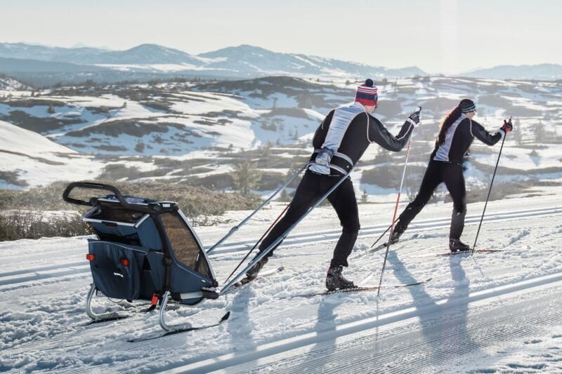 Bērnu rati Thule Chariot Cross1 Alaska cena un informācija | Bērnu rati | 220.lv