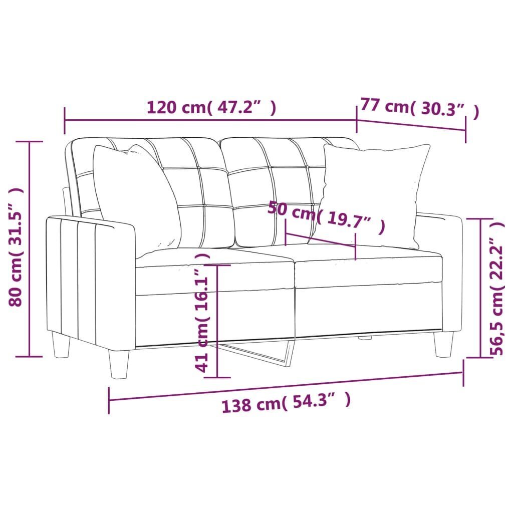Divvietīgs dīvāns ar spilveniem vidaXL, 120 cm, brūns cena un informācija | Dīvāni | 220.lv