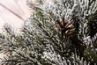 Ziemassvētku vainags Brigita, 40cm cena un informācija | Mākslīgās egles, vainagi, statīvi | 220.lv