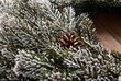 Ziemassvētku vainags Brigita, 40cm cena un informācija | Mākslīgās egles, vainagi, statīvi | 220.lv