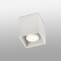 Потолочный светильник цена и информация | Потолочный светильник | 220.lv