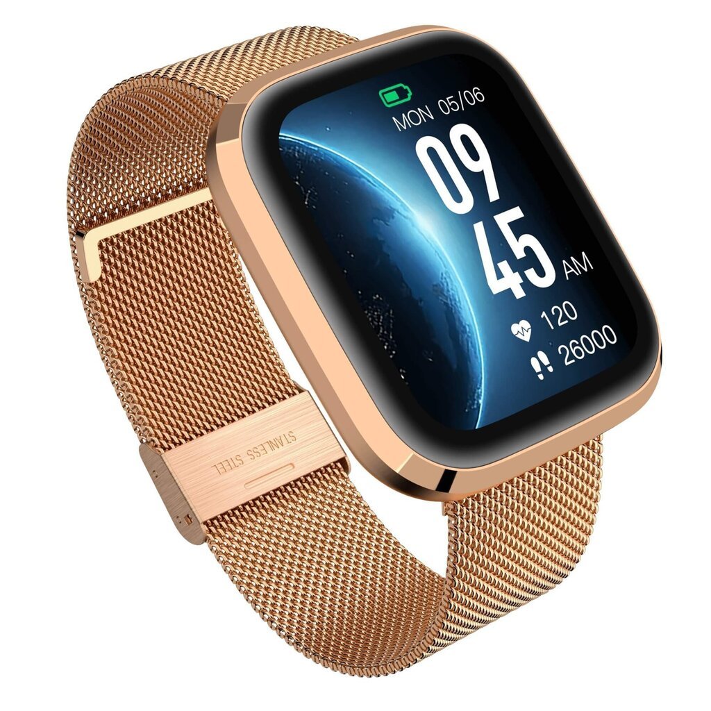 Garett GRC Style Gold Steel цена и информация | Viedpulksteņi (smartwatch) | 220.lv