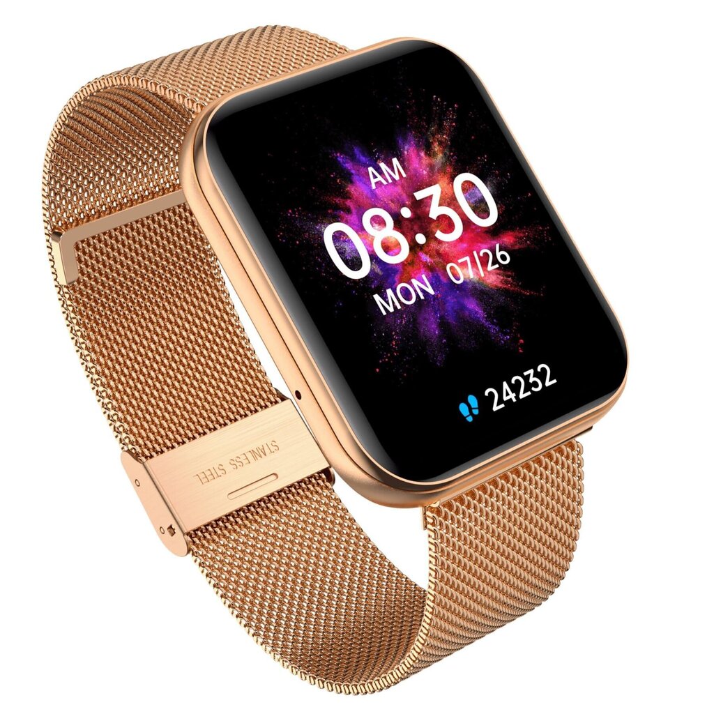 Garett GRC Maxx Gold Steel цена и информация | Viedpulksteņi (smartwatch) | 220.lv