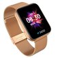 Garett GRC Maxx Gold Steel cena un informācija | Viedpulksteņi (smartwatch) | 220.lv