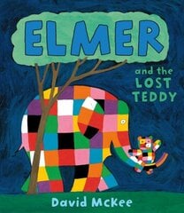 Elmer and the Lost Teddy: Board Book cena un informācija | Grāmatas mazuļiem | 220.lv