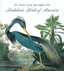 Audubon's Birds of America: The National Audubon Society Baby Elephant Folio illustrated edition cena un informācija | Mākslas grāmatas | 220.lv