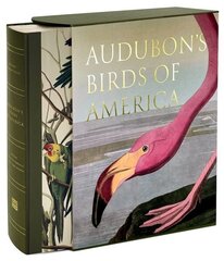 Audubon's Birds of America: Baby Elephant Folio цена и информация | Книги об искусстве | 220.lv