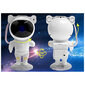LED projektors Astronauts ar taimeri un tālvadības pulti цена и информация | Svētku dekorācijas | 220.lv