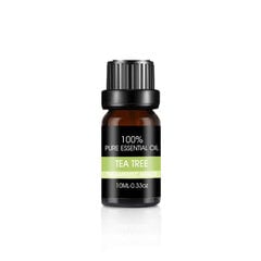 100% dabīga tējas koka ēteriskā eļļa 10 ml цена и информация | Эфирные, косметические масла, гидролаты | 220.lv