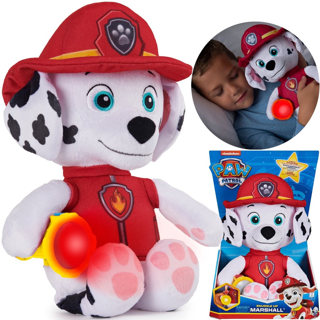 Runājošais talismans SpinMaster Paw Patrol, 29cm cena un informācija | Mīkstās (plīša) rotaļlietas | 220.lv