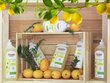 Organiskais trauku mazgāšanas līdzeklis ar citronu eļļu Friendly Organic, 1000 ml cena un informācija | Trauku mazgāšanas līdzekļi | 220.lv