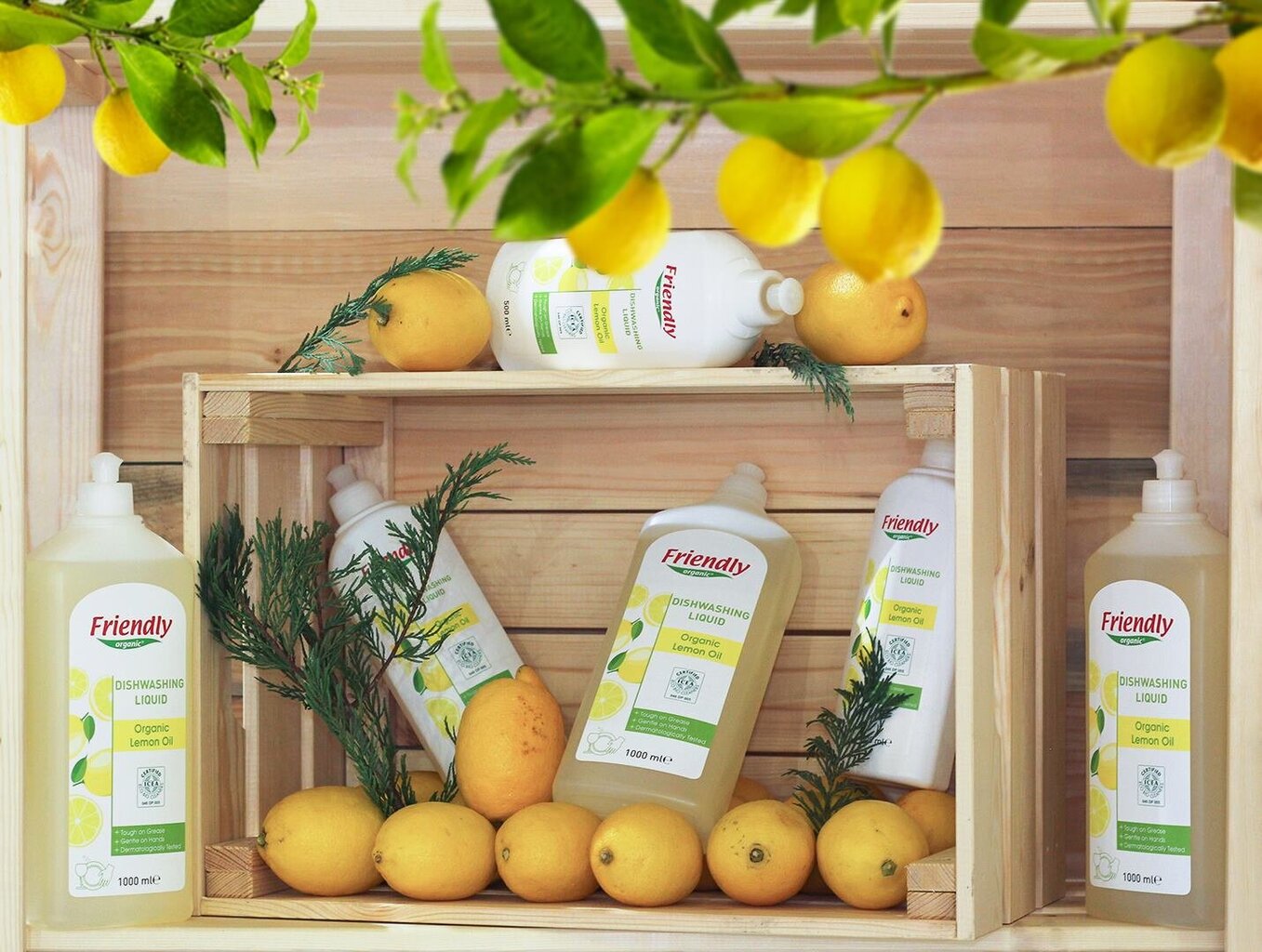 Organiskais trauku mazgāšanas līdzeklis ar citronu eļļu Friendly Organic, 500 ml cena un informācija | Trauku mazgāšanas līdzekļi | 220.lv