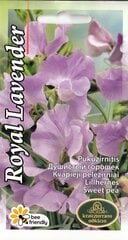 Puķuzirnīši Royal Family Lavender cena un informācija | Puķu sēklas | 220.lv