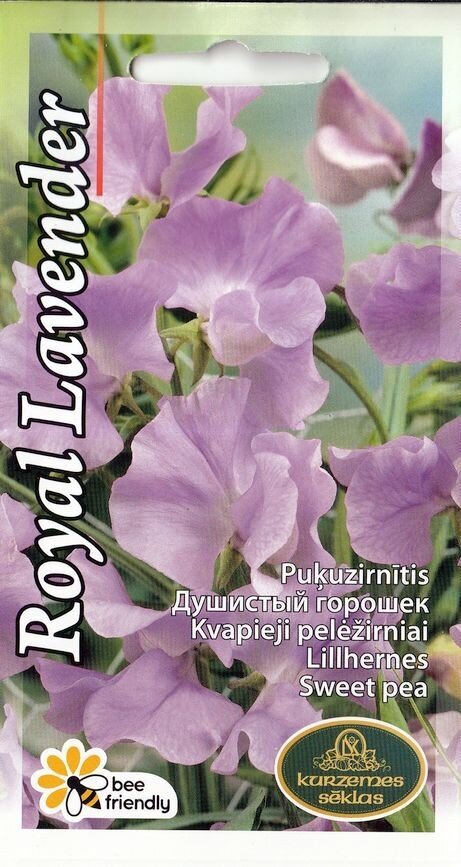 Puķuzirnīši Royal Family Lavender цена и информация | Puķu sēklas | 220.lv