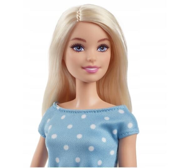 Lelle Barbie Big City GYG39 Big Dreams Malibu cena un informācija | Rotaļlietas meitenēm | 220.lv