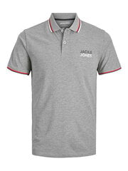Polo krekls vīriešiem Jjatlas 12221012, pelēks cena un informācija | Vīriešu T-krekli | 220.lv
