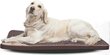 Paklājiņš suņiem Hobbydog, XL, smilškrāsas цена и информация | Suņu gultas, spilveni, būdas | 220.lv