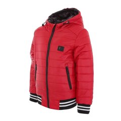 Jaka zēniem Nature, sarkana цена и информация | Куртки для мальчиков | 220.lv