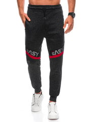 мужские спортивные штаны p1391 - темно-серые цена и информация | Мужская спортивная одежда | 220.lv