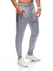 Спортивные брюки мужские P1393 - серые 123230-7 цена и информация | Мужская спортивная одежда | 220.lv
