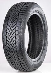 Falken Eurowinter 215/60R16 99H/XL HS02 C B 70 B цена и информация | Зимняя резина | 220.lv