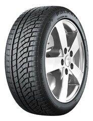 Falken Eurowinter 225/55R18 102V/XL HS02 PRO C B 71 B cena un informācija | Ziemas riepas | 220.lv