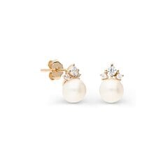 Zelta auskari un pērlēm Gold Pearls sievietēm W60565647 1000000027137 cena un informācija | Auskari | 220.lv
