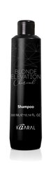 Šampūns ar melno ogli gaišākiem, balinātiem, brūniem matiem Charcoal, 300 ml cena un informācija | Šampūni | 220.lv