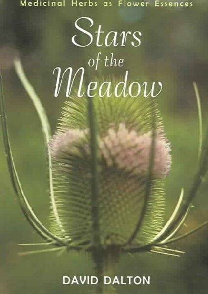 Stars of the Meadow: Medicinal Herbs as Flower Essences цена и информация | Pašpalīdzības grāmatas | 220.lv