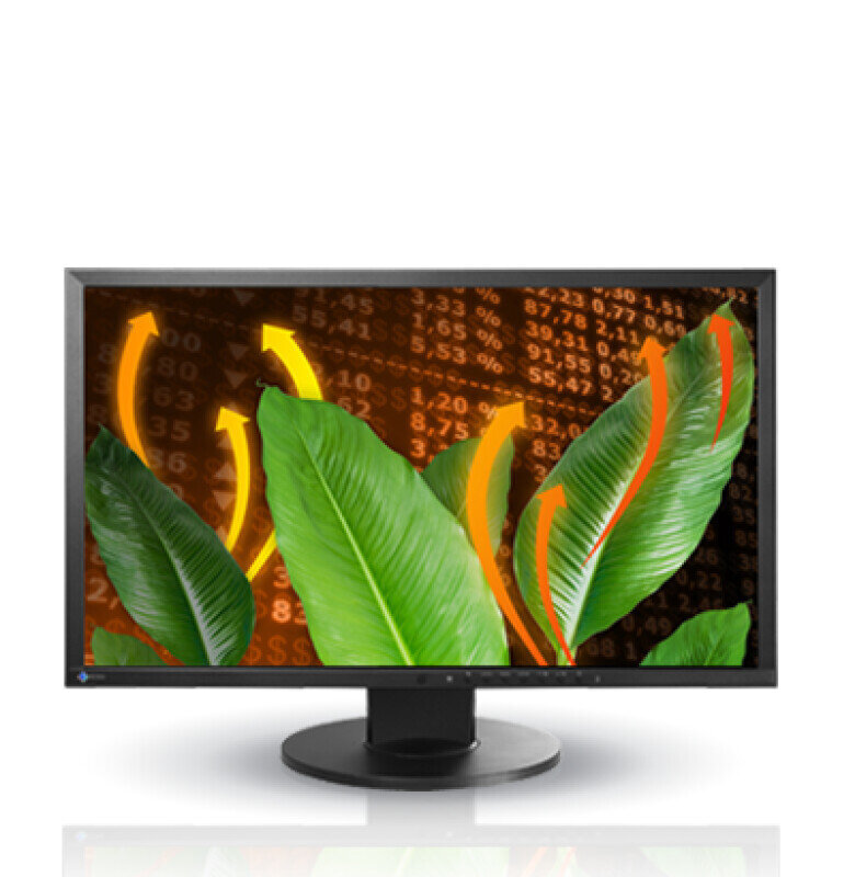 Eizo FlexScan 23 EV2316W RENEW цена и информация | Monitori | 220.lv