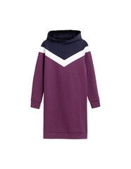 Sieviešu kleita 4F H4Z21-SUDD01250S, violeta цена и информация | Платья | 220.lv