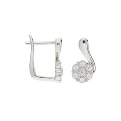 Серебряные серьги с кубическим цирконием Silver Selection для женщин W60526601 1000000025263 цена и информация | Серьги | 220.lv