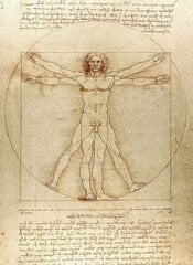 Vitruvian Man Notebook cena un informācija | Pašpalīdzības grāmatas | 220.lv