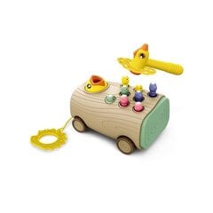 Rotaļu komplekts maziem bērniem Woopie cena un informācija | Rotaļlietas zīdaiņiem | 220.lv