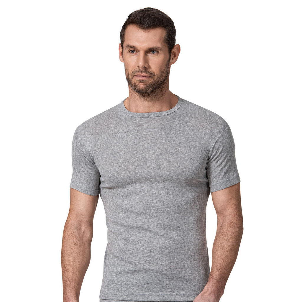 T-krekls vīriešiem Namaldi, pelēks цена и информация | Vīriešu apakškrekli | 220.lv