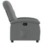 Atpūtas krēsls vidaXL, pelēks cena un informācija | Atpūtas krēsli | 220.lv