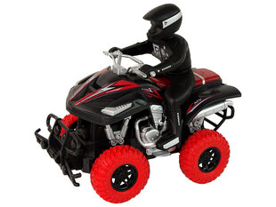 Квадроцикл с дистанционным управлением, 1:18 цена и информация | Конструктор автомобилей игрушки для мальчиков | 220.lv